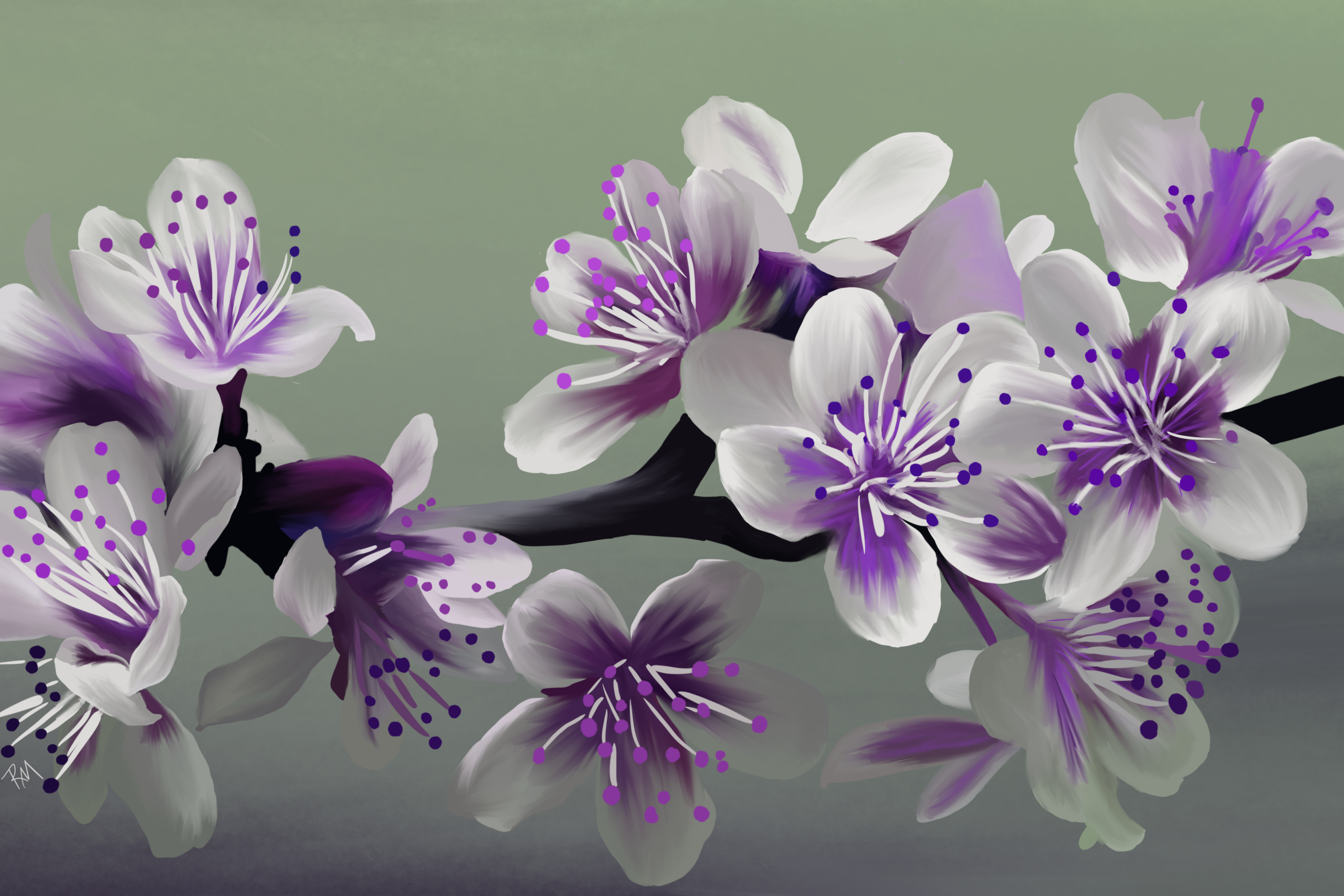 Florals